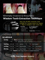 MEXICO LSC 2026 / February 5 - 8 [Third Molar Live Surgery Course]