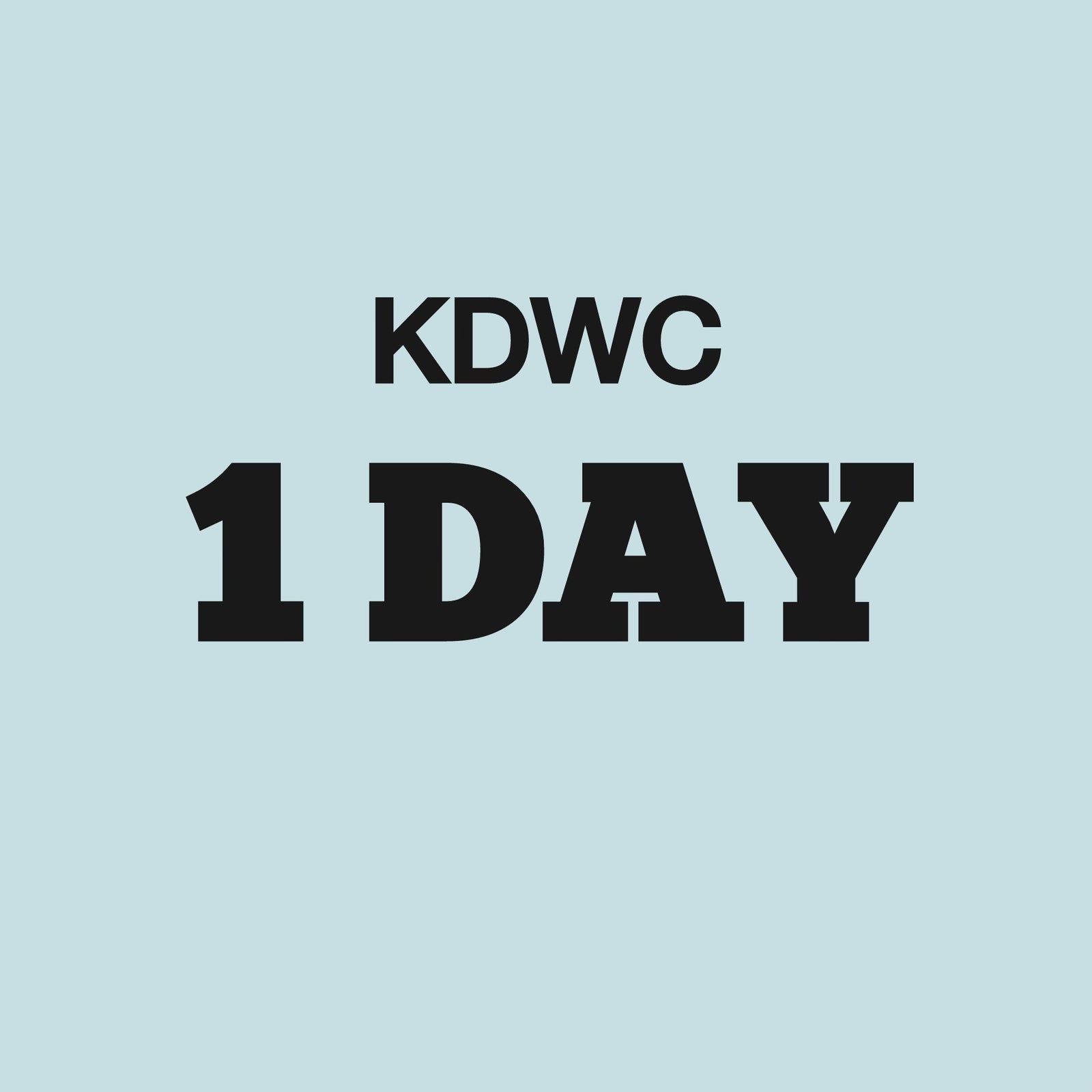 KDWC 2024 New York) 1 DAY